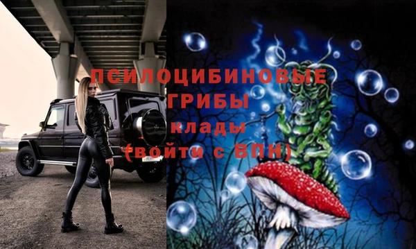 дмт Абдулино